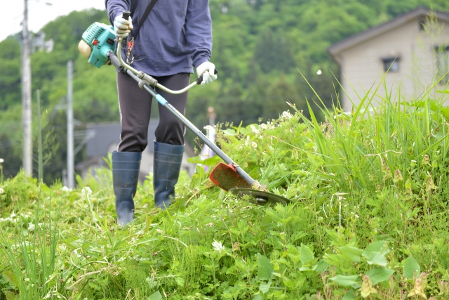 南会津町で草刈りに最適な年3回の時期～楽に草刈りを終えるコツまで徹底解説