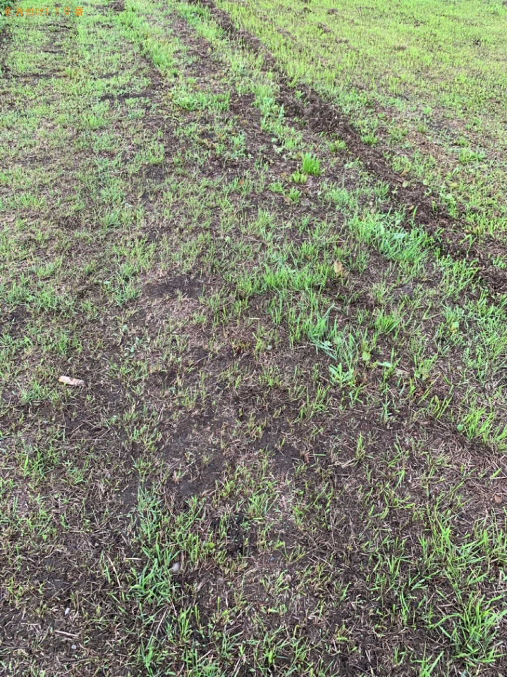 草刈り作業ご依頼　お客様の声