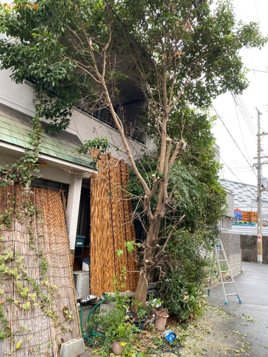 木の伐採作業ご依頼　お客様の声
