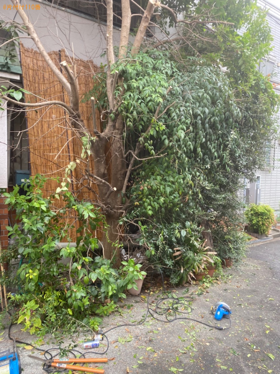 木の伐採作業ご依頼　お客様の声