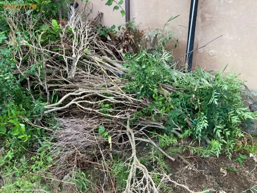 ガスコンロ、枝、木材、ダンボール、プランター、カーペット等の回収